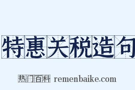 特惠关税造句是什么意思的图片